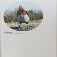 B_Froschbärfant-und-andere-Tiere-in-der-Kunst2-2011
