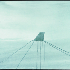 brasilia 6